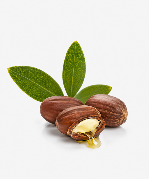 Jojoba